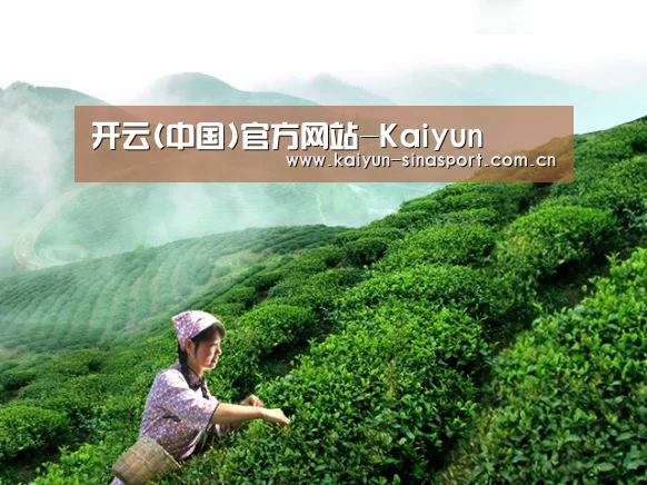 开云(中国)官方网站-Kaiyun